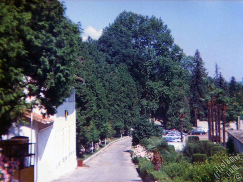 View of Termal-Gokcedere Village in Yalova city of Turkey.
