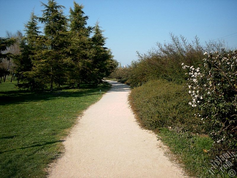 View of Botanical Park in Bursa city of Turkey.

