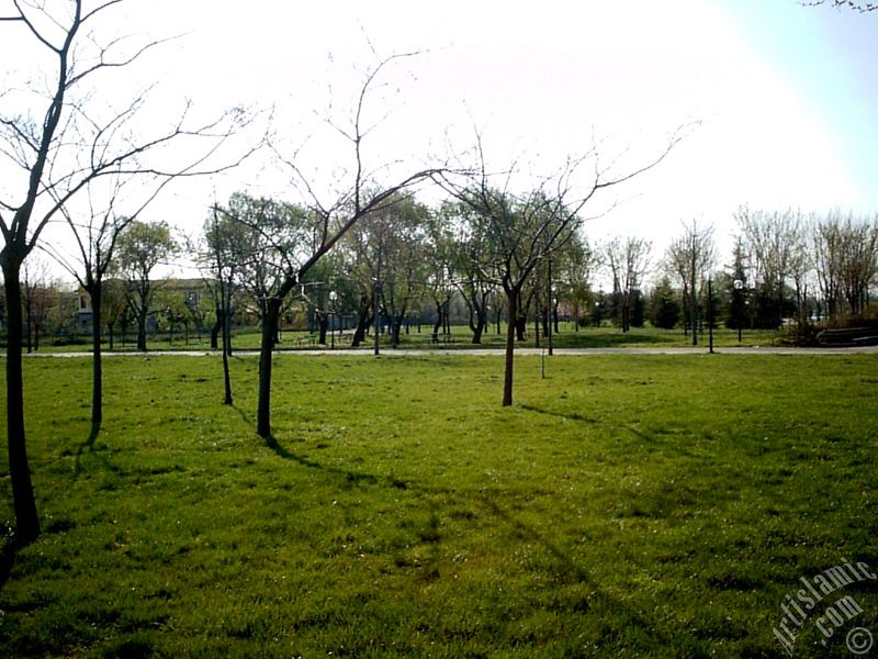 View of Botanical Park in Bursa city of Turkey.
