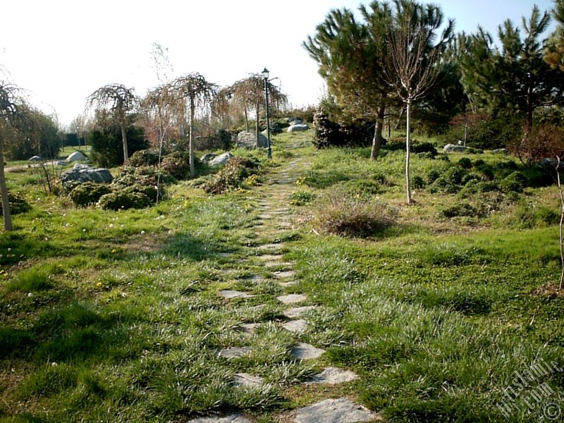 View of Botanical Park in Bursa city of Turkey.

