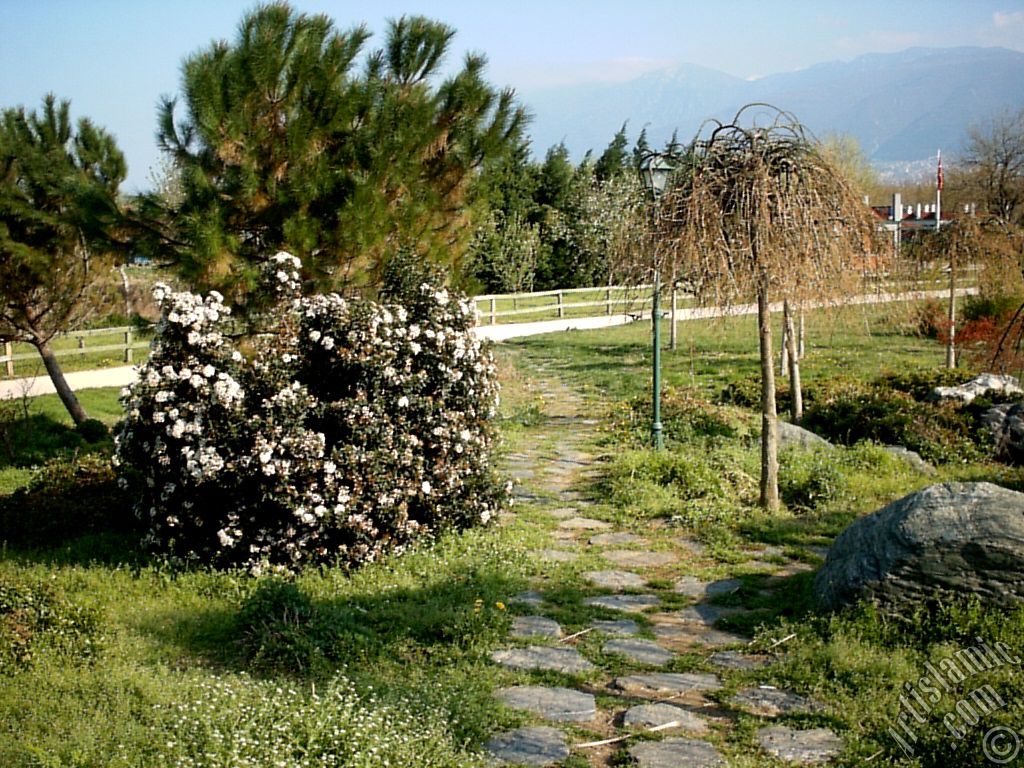 View of Botanical Park in Bursa city of Turkey.
