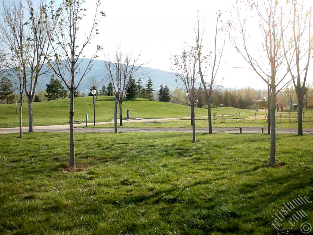 View of Botanical Park in Bursa city of Turkey.
