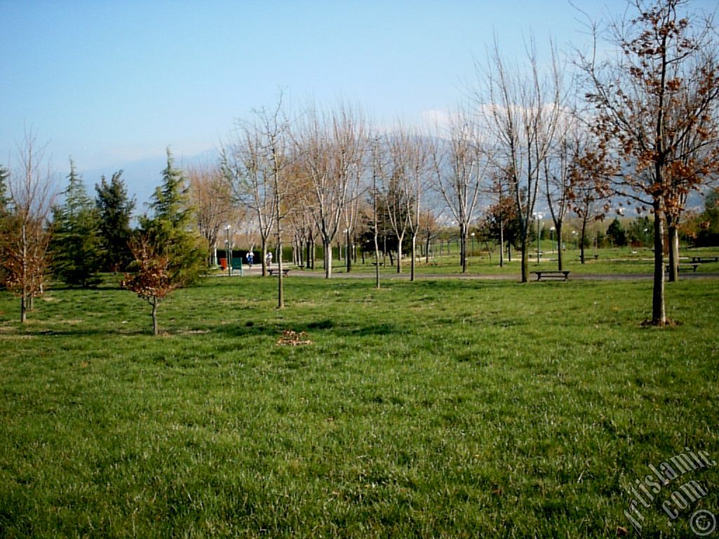 View of Botanical Park in Bursa city of Turkey.
